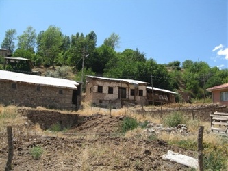Edebiyat